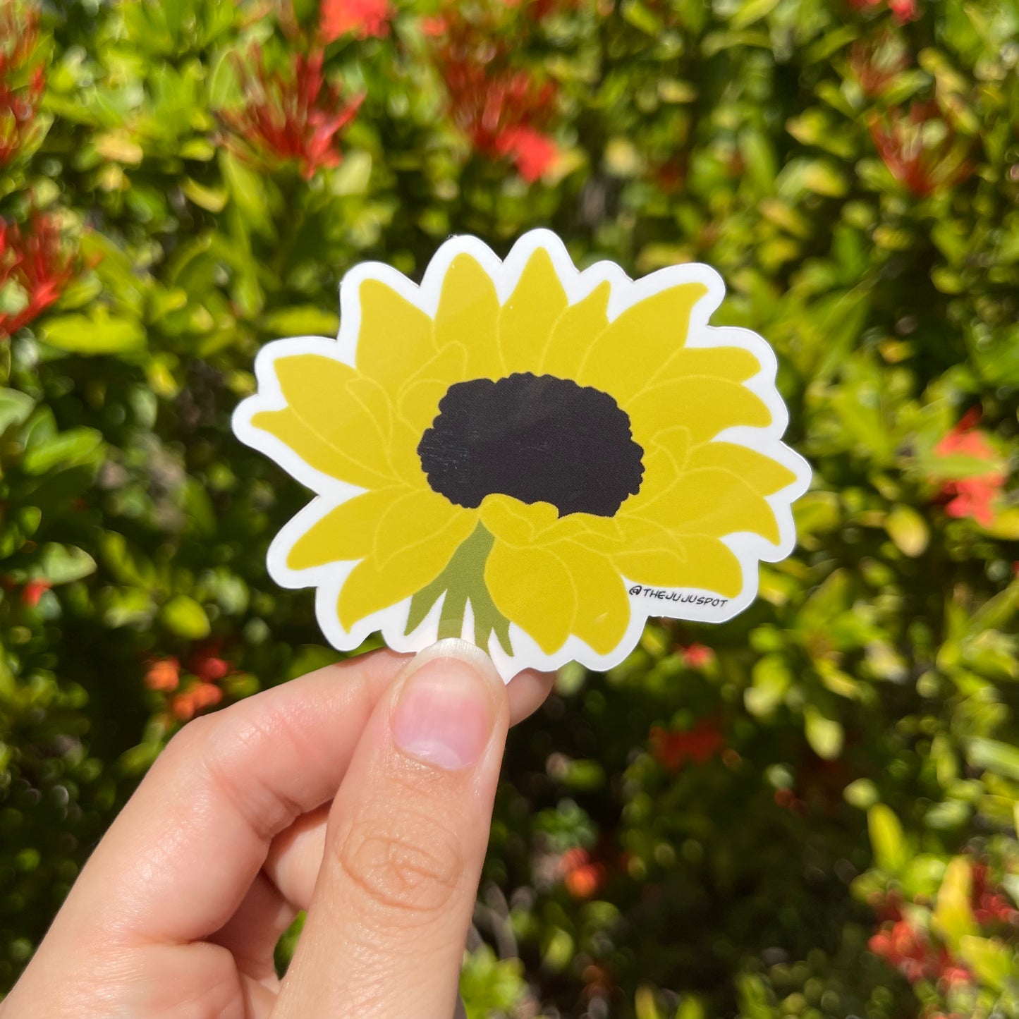 Sunflower