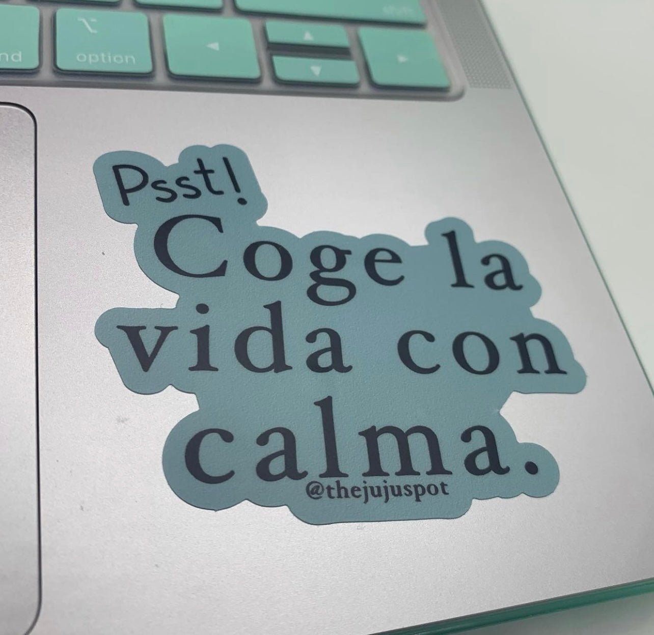 73 - Coge la vida con calma Sticker