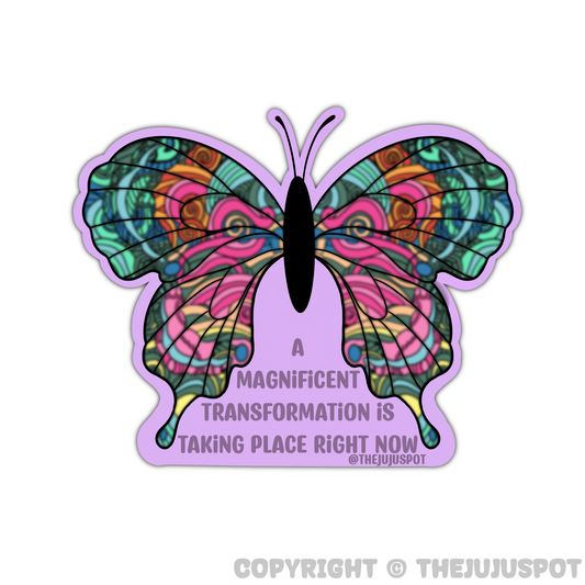 Magnificent Transformation